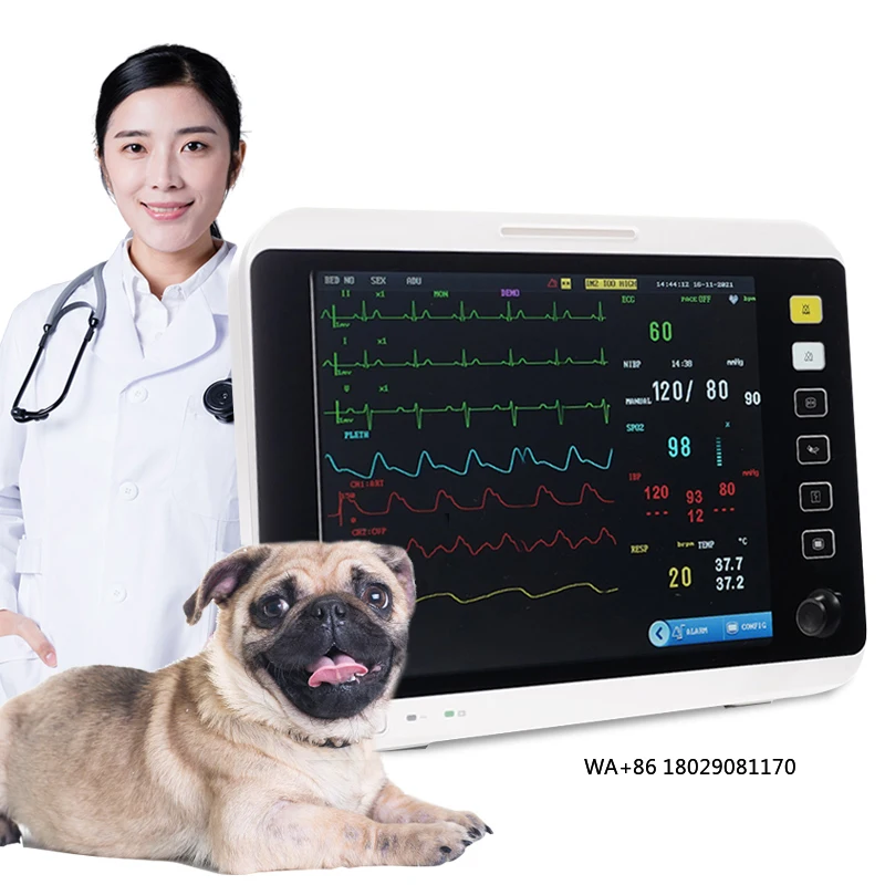 Ручной многопараметрический ветеринарный Holter Pet Mini Etco2 с NIPG, новый 2-дюймовый Cardiaco VeterinarIor
Ручной многопараметрический ветеринарный Holter Pet Mini Etco2 с NIPG, новый 2-дюймовый Cardiaco VeterinarIor
