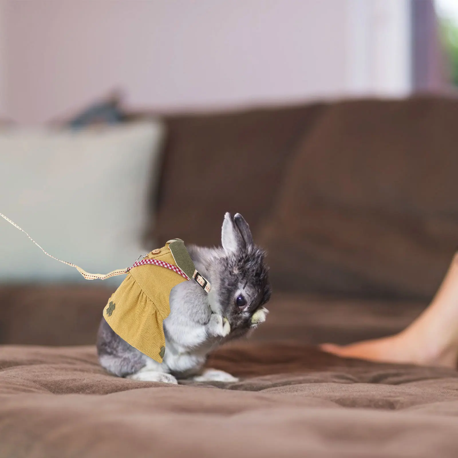 Dress Small Animal Vest Pet Harness Costume Rabbits Chest Strap Hamster Pets Leash Coffee Decorative 
Dress Small Animal Vest Pet Harness Costume Rabbits Chest Strap Hamster Pets Leash Coffee Decorative
