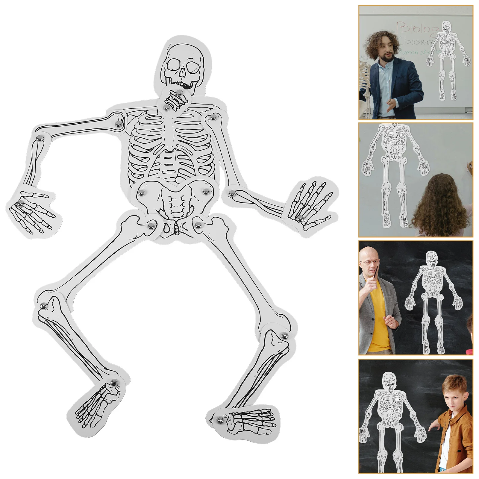 DIY Human Assembly Kit Educational Science Project for Hands-on Learning Bone Structure Classroom Display
DIY Human Assembly Kit Educational Science Project for Hands-on Learning Bone Structure Classroom Display