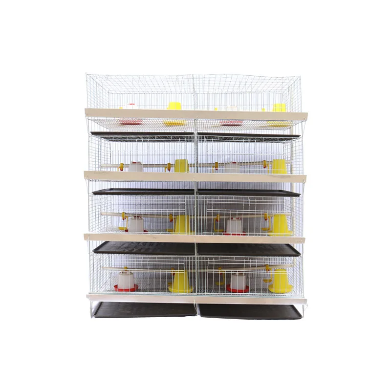 New Ankong H-type Poultry Farming Broiler Chicken Cage With Wire Mesh Automatic Breeding Equipment For Chickens 2-Year Warranty
New Ankong H-type Poultry Farming Broiler Chicken Cage With Wire Mesh Automatic Breeding Equipment For Chickens 2-Year Warranty