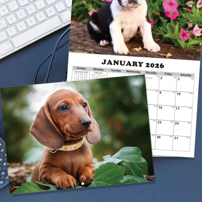 2026 New Calendar Wall Calendar Cute Dog Fun Cactus Annual Meeting Gift Year End Gift
2026 New Calendar Wall Calendar Cute Dog Fun Cactus Annual Meeting Gift Year End Gift