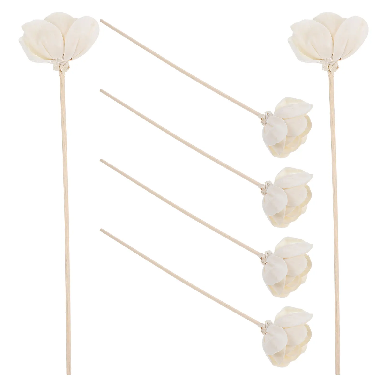 6pcs Aromatherapy Rattan Diffusers Home Fragrance Flower Scented Dried Decorative Exquisite Craft Details
6pcs Aromatherapy Rattan Diffusers Home Fragrance Flower Scented Dried Decorative Exquisite Craft Details