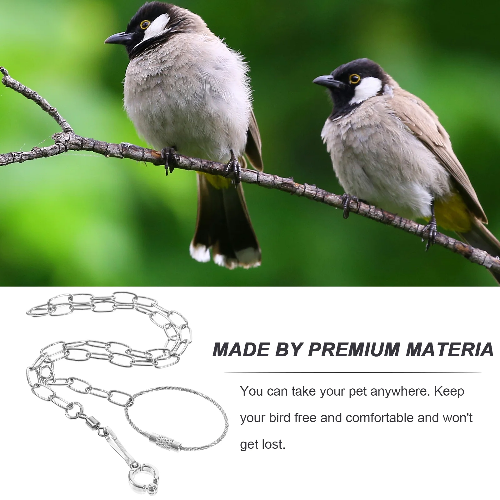 Stainless Steel Bird Chain Birds Cockatiel Leash Metal Strap Parrot Accessory Foot Pet for Parrots Anklet
Stainless Steel Bird Chain Birds Cockatiel Leash Metal Strap Parrot Accessory Foot Pet for Parrots Anklet