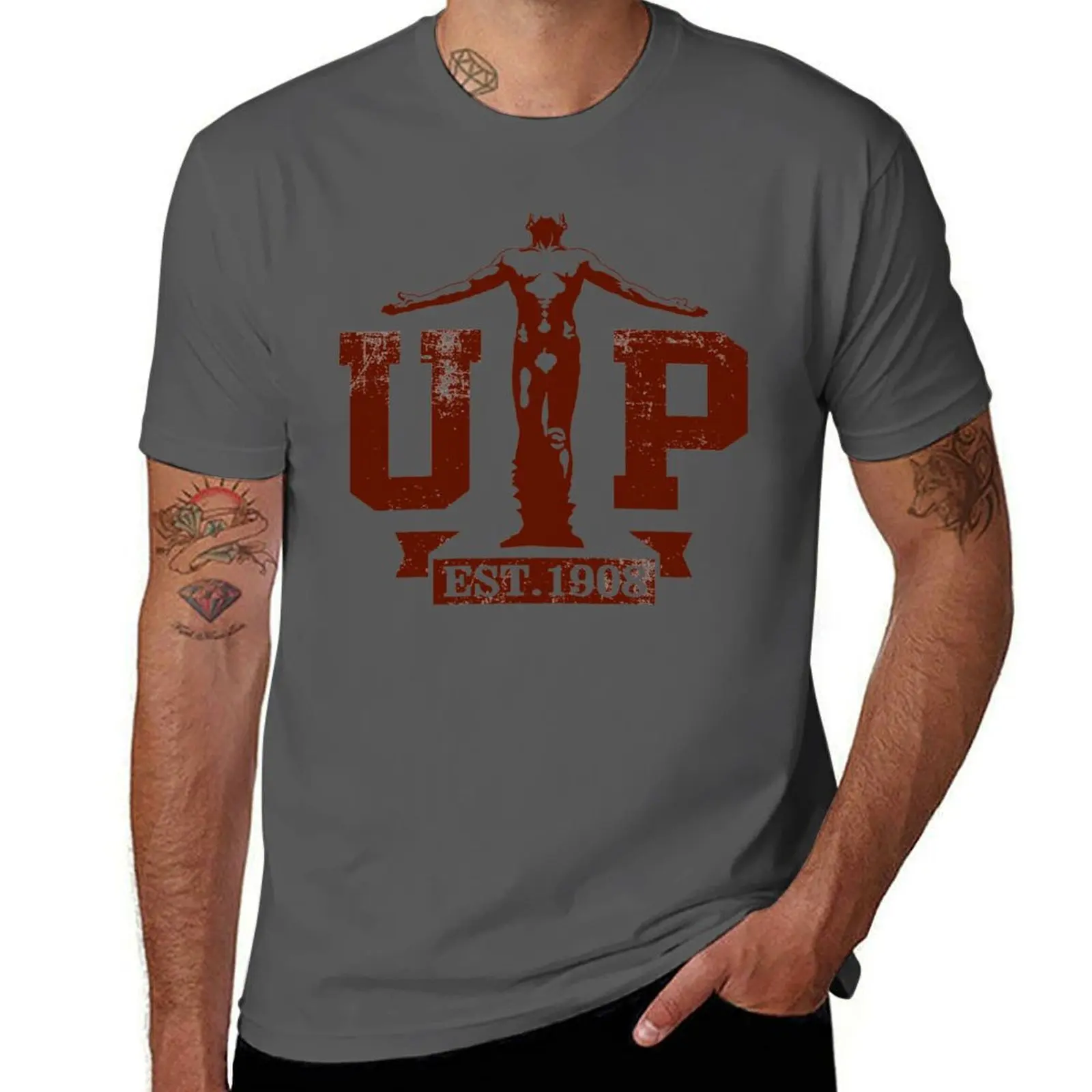 UP Oblation University of The Philippines T-Shirt anime t shirts aesthetic clothes men clothes
UP Oblation University of The Philippines T-Shirt anime t shirts aesthetic clothes men clothes