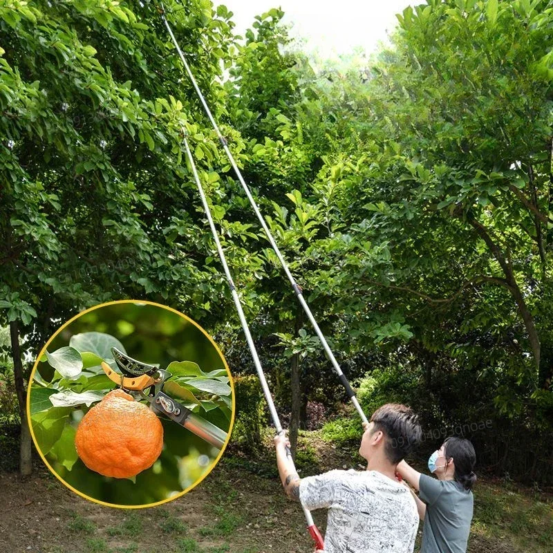 Telescopic Height Fruit Picker Gardening Tools Tree Fruit Collector Professional Picks Cutting Branch Scissors Farming Supplies
Telescopic Height Fruit Picker Gardening Tools Tree Fruit Collector Professional Picks Cutting Branch Scissors Farming Supplies