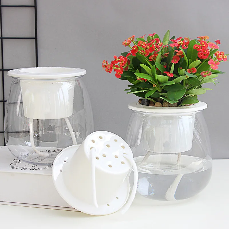 Mini Self Watering Flower Pot Fish Tank Transparent Plastic Plant Pots Self Watering Planter Pot Vase for Home Decoration
Mini Self Watering Flower Pot Fish Tank Transparent Plastic Plant Pots Self Watering Planter Pot Vase for Home Decoration