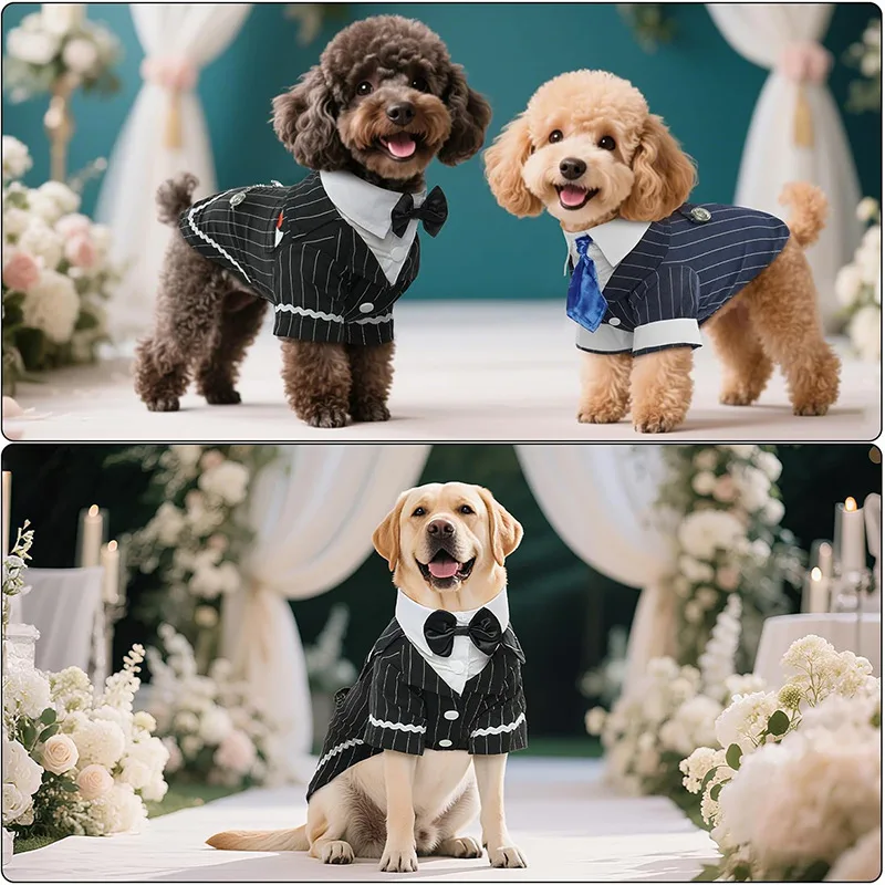 Dog Tuxedo Puppy Banquet Clothing Pet Photography Dress Pet Wedding Clothing
Dog Tuxedo Puppy Banquet Clothing Pet Photography Dress Pet Wedding Clothing
