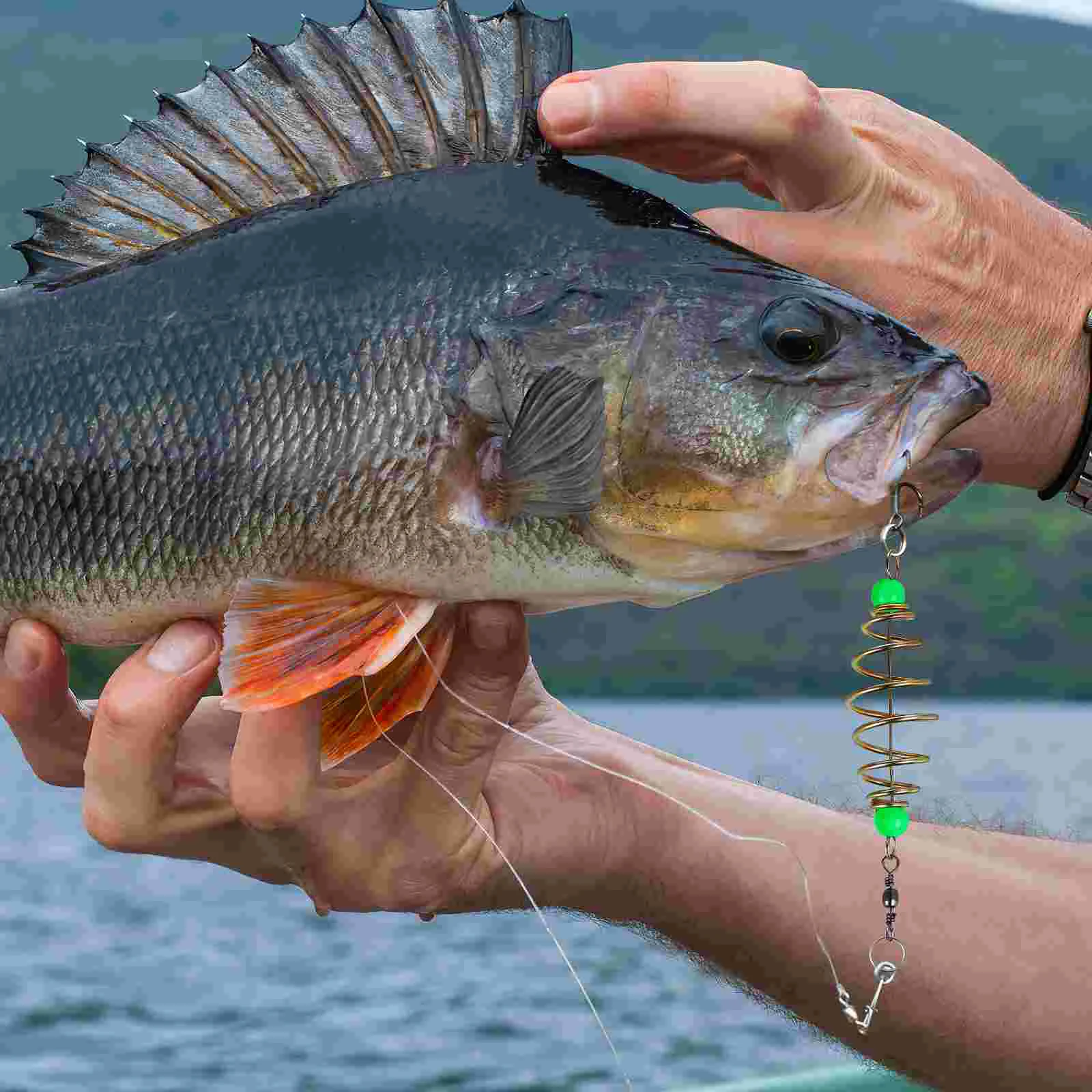 12 Pcs Bead Fishing Bait Cage Hollow Spring Coils Olive Shape Night Glow Feeder Traps Carp Fishing Tackle Efficient
12 Pcs Bead Fishing Bait Cage Hollow Spring Coils Olive Shape Night Glow Feeder Traps Carp Fishing Tackle Efficient