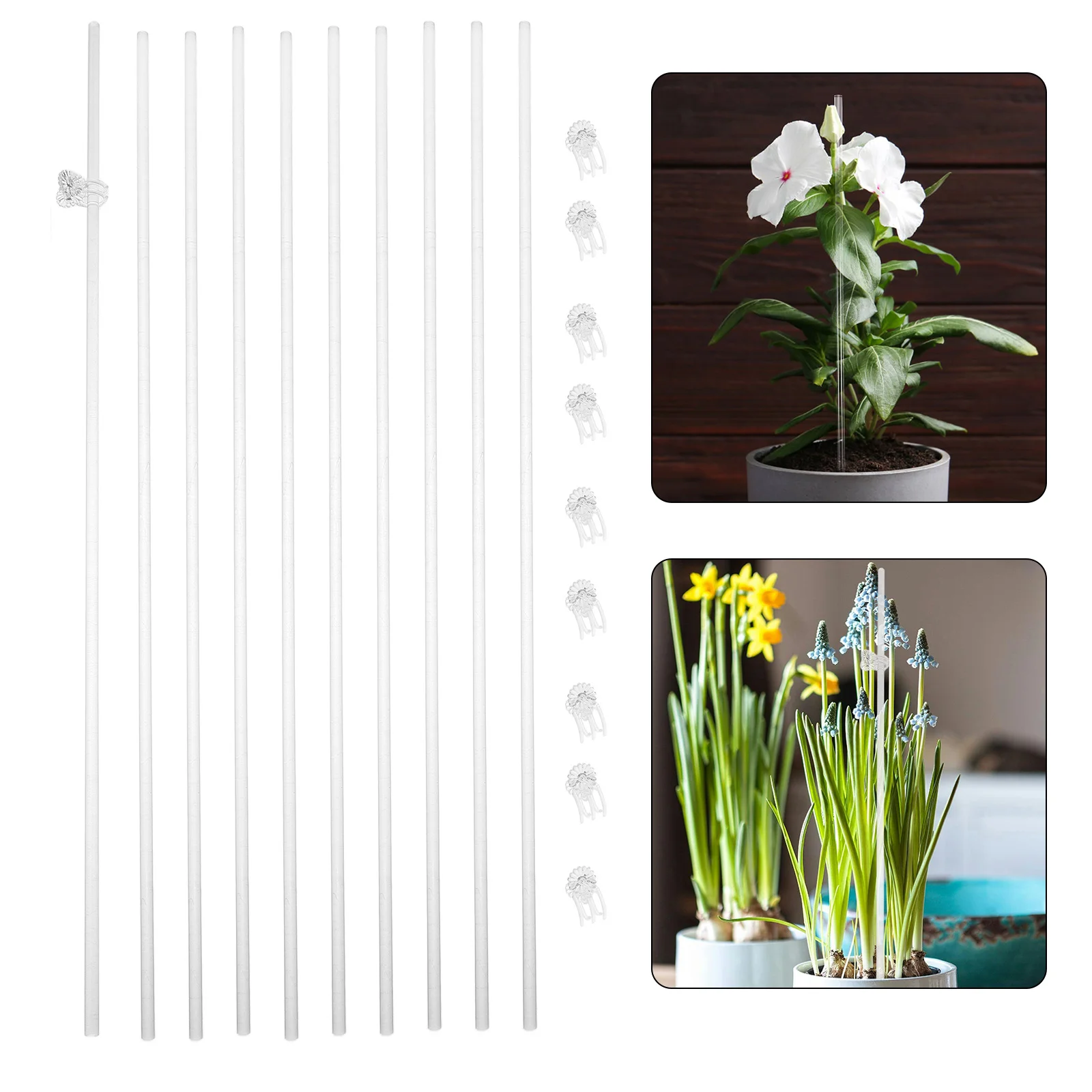 Plant Support Stakes Acrylic Trellis Orchid and Clips Bracket Sticks Tall Garden
Plant Support Stakes Acrylic Trellis Orchid and Clips Bracket Sticks Tall Garden
