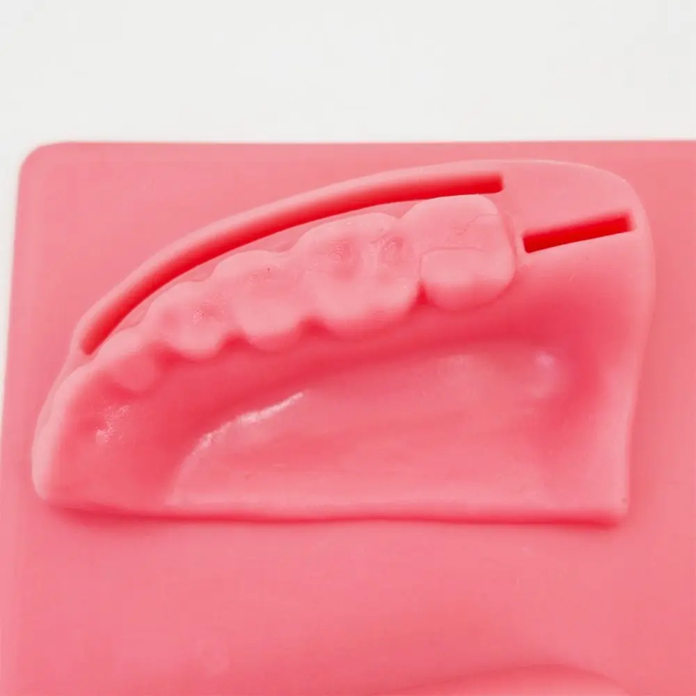 Silicone Dental Oral/Gum Suture Model 4 Wound Types Suturing Practice Dental Teaching Model Soft Simulation Oral Skin Suture Pad
Silicone Dental Oral/Gum Suture Model 4 Wound Types Suturing Practice Dental Teaching Model Soft Simulation Oral Skin Suture Pad