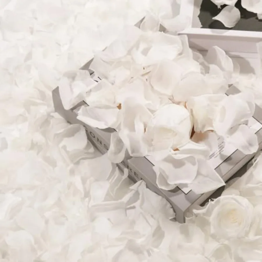 Dried Real Rose Petals, Natural Preserved Dry Flower Petals for Wedding Party Dinner Table Decor, Romantic Night for Her Set, E
Dried Real Rose Petals, Natural Preserved Dry Flower Petals for Wedding Party Dinner Table Decor, Romantic Night for Her Set, E