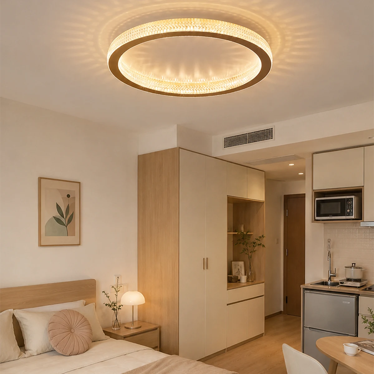 Round LED Ceiling Lamp, Modern Minimalist Nordic INS Luxury Ceiling Light for Bedroom Study
Round LED Ceiling Lamp, Modern Minimalist Nordic INS Luxury Ceiling Light for Bedroom Study