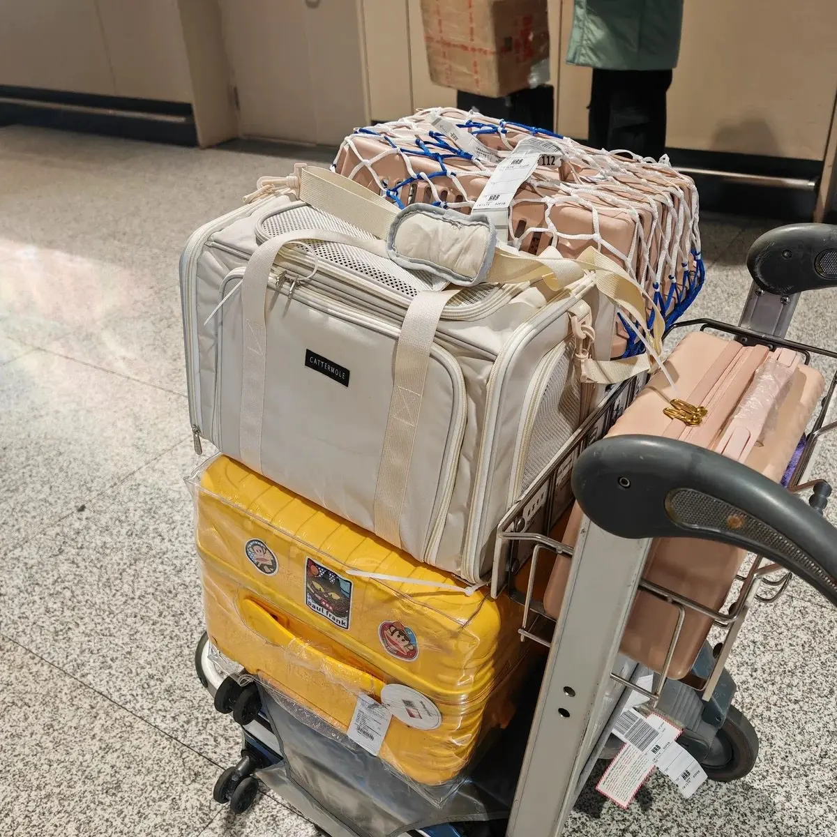 Pet aviation cat bag checked soft bcat bag large space cabin HNA special portable cat bag portable out
Pet aviation cat bag checked soft bcat bag large space cabin HNA special portable cat bag portable out