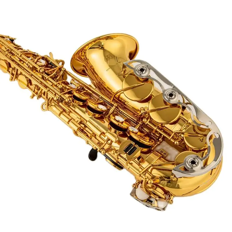 200 Professional Alto Drop E Saxophone Gold Alto Saxophone with Band Mouth Piece Reed Aglet More Package mail
200 Professional Alto Drop E Saxophone Gold Alto Saxophone with Band Mouth Piece Reed Aglet More Package mail