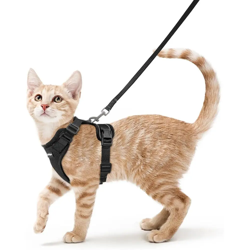 Adjustable Walking Vest with Reflective Strips for Cats, Breathable, Easy Control, Black, XS
Adjustable Walking Vest with Reflective Strips for Cats, Breathable, Easy Control, Black, XS