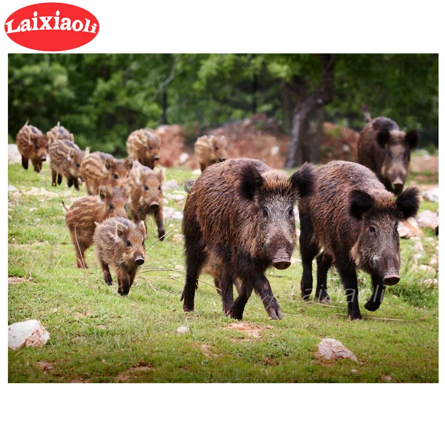 full diamond embroidery wild boar Forest animals diamond cross stitch crystal diamond pig decorative diy diamond painting sale
full diamond embroidery wild boar Forest animals diamond cross stitch crystal diamond pig decorative diy diamond painting sale