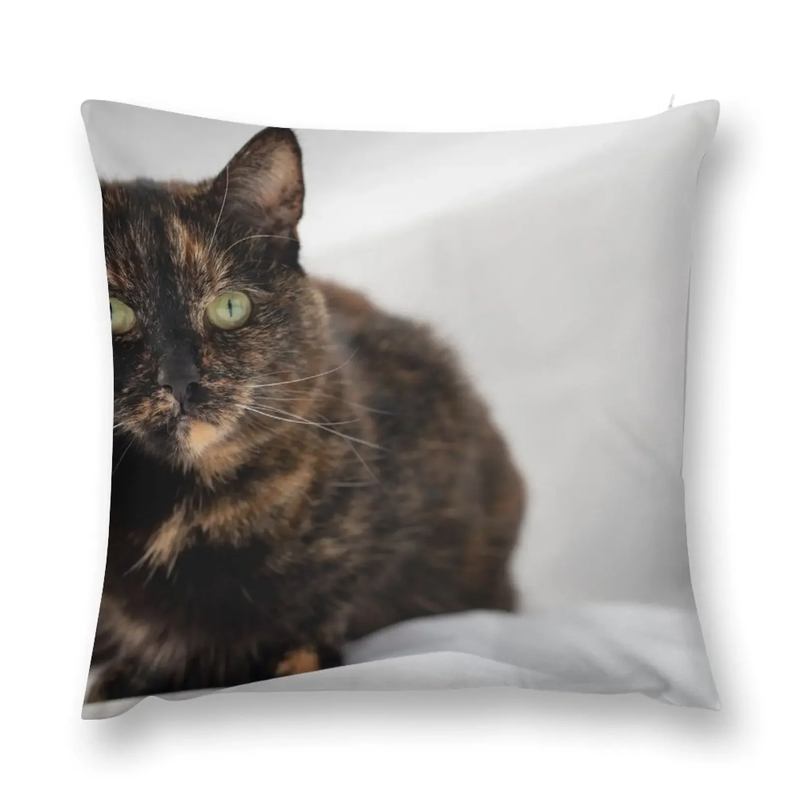 Cute Tortoiseshell Cat Throw Pillow Cushion Cover Set Custom Cushion Anime Cushions For Sofa pillow
Cute Tortoiseshell Cat Throw Pillow Cushion Cover Set Custom Cushion Anime Cushions For Sofa pillow