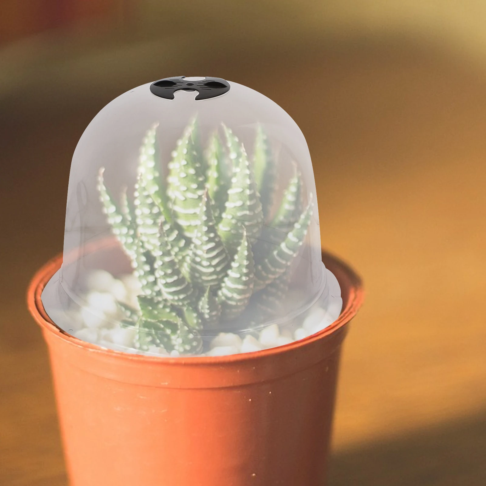 Plastic Plant Protectors Vented Cloches for Succulents Control Ventilation Humidity Frost Guard Garden Dome Cover Plant
Plastic Plant Protectors Vented Cloches for Succulents Control Ventilation Humidity Frost Guard Garden Dome Cover Plant