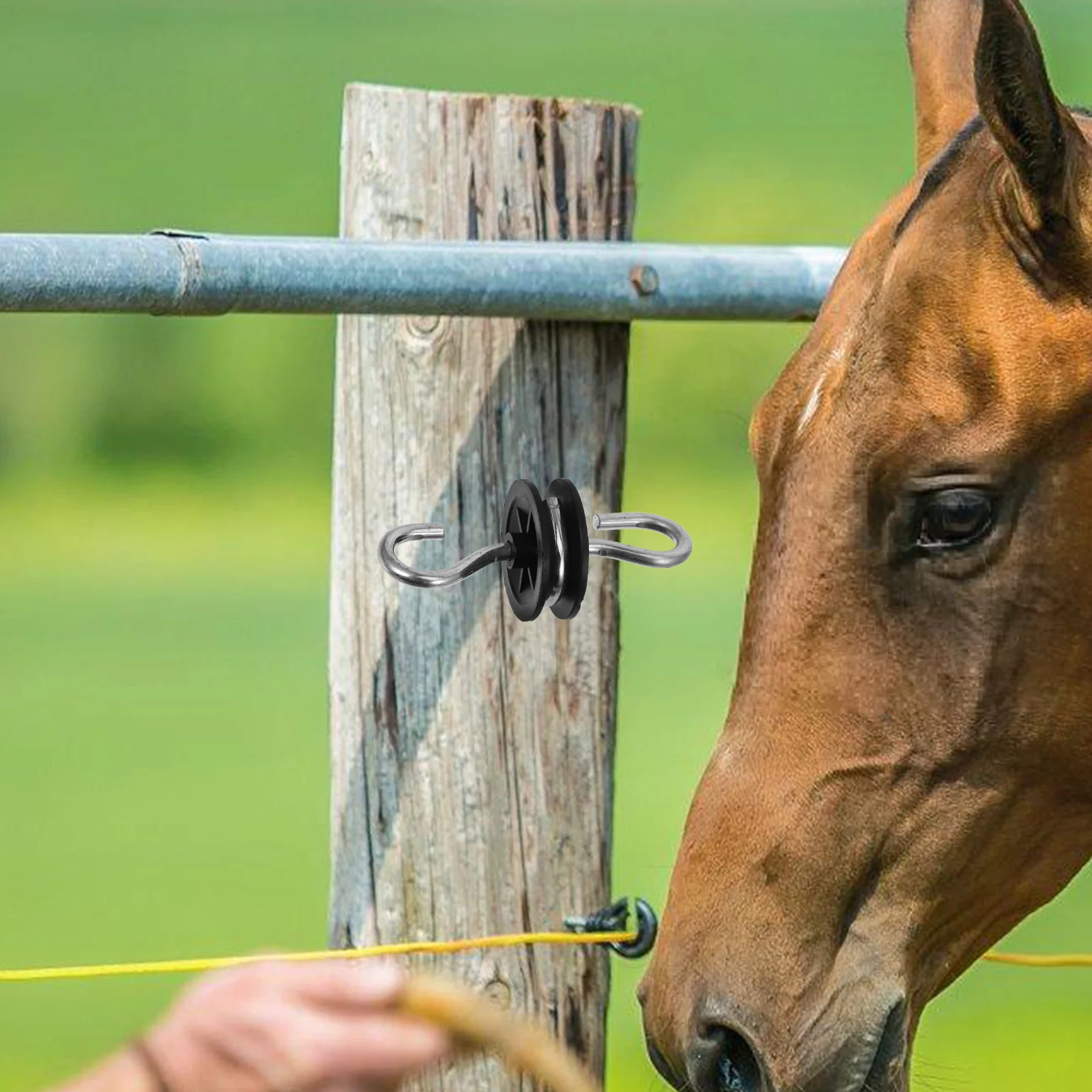 4Pcs Electric Fence Kit Reusable Screwin Insulators Conductive Spring Handle Versatile Farm Cattle Fencing Fence Wire Insulators 
4Pcs Electric Fence Kit Reusable Screwin Insulators Conductive Spring Handle Versatile Farm Cattle Fencing Fence Wire Insulators