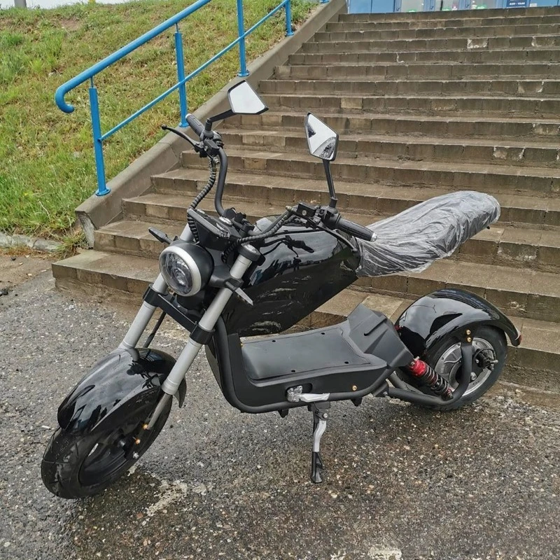 Lei Moto Electric Vehicle Electric Motorcycle 2000w High Power Cool Roadster
Lei Moto Electric Vehicle Electric Motorcycle 2000w High Power Cool Roadster