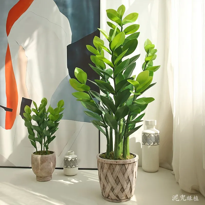 Artificial Potted Money Tree Bonsai Ornaments Artificial Plants Artificial Green Plants Table Decoration Display
Artificial Potted Money Tree Bonsai Ornaments Artificial Plants Artificial Green Plants Table Decoration Display