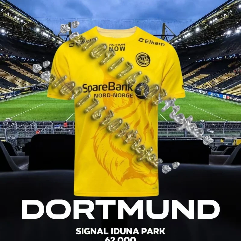 2025 New Men's Quick-drying Hot-selling T-shirt Football Shirt BodøGlimt Sports Breathable and Comfortable Short Sleeves
2025 New Men's Quick-drying Hot-selling T-shirt Football Shirt BodøGlimt Sports Breathable and Comfortable Short Sleeves