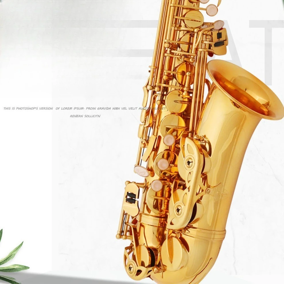 Alto Saxophone Beginner E-flat Saxophone Duct Grading
Alto Saxophone Beginner E-flat Saxophone Duct Grading