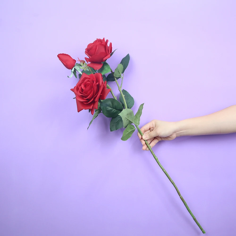 Moisturizing Rose Simulation Flower for Shopping Mall, Window Display, Wedding Party Supplies, New Year's Eve Decorations
Moisturizing Rose Simulation Flower for Shopping Mall, Window Display, Wedding Party Supplies, New Year's Eve Decorations