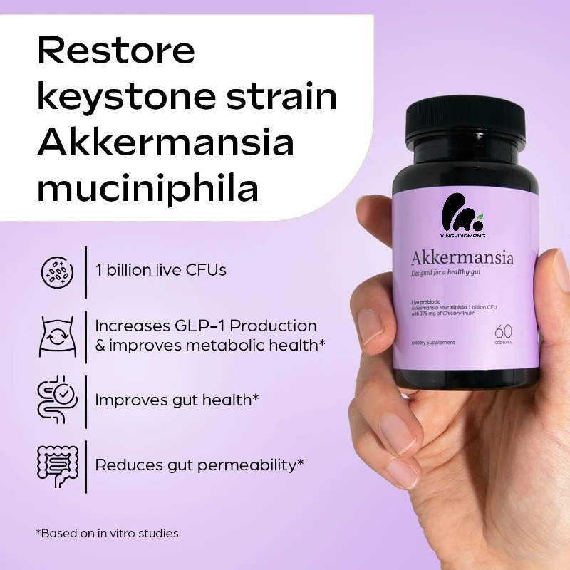 Akkermansia Muciniphilila Probiotics+Probiotic Supplements - Increases GLP-1, Delayed Release, 1 Billion CFU (60 Capsules)
Akkermansia Muciniphilila Probiotics+Probiotic Supplements - Increases GLP-1, Delayed Release, 1 Billion CFU (60 Capsules)