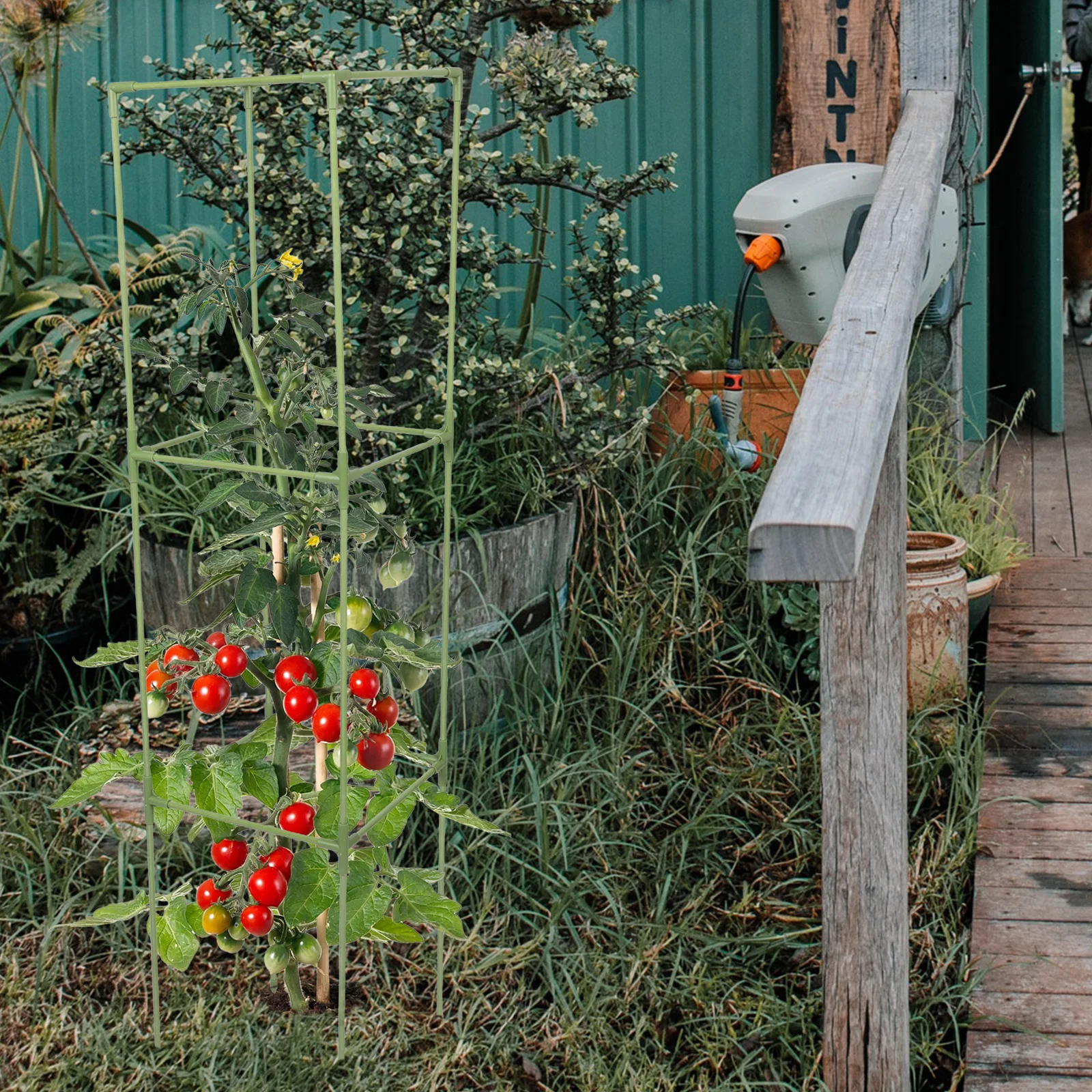 1Set Fiberglass Tomato Stakes Square Climbing Frame Heavy Duty Cage for Vegetables Flowers Easy Install Garden Support
1Set Fiberglass Tomato Stakes Square Climbing Frame Heavy Duty Cage for Vegetables Flowers Easy Install Garden Support