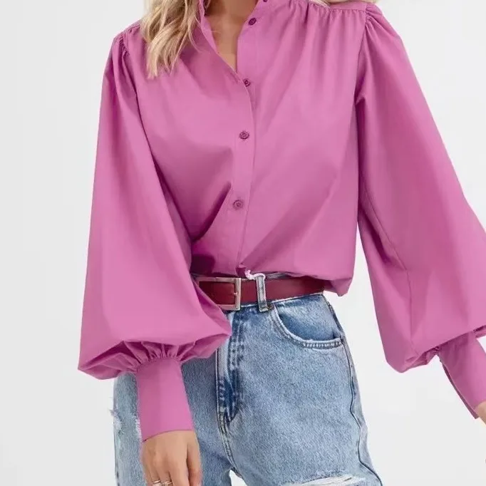 The 2025 New Model Is A Simple and Individualistic Solid-color Stand-up Collar Lantern Shirt with A Slimming and Commuting Style
The 2025 New Model Is A Simple and Individualistic Solid-color Stand-up Collar Lantern Shirt with A Slimming and Commuting Style