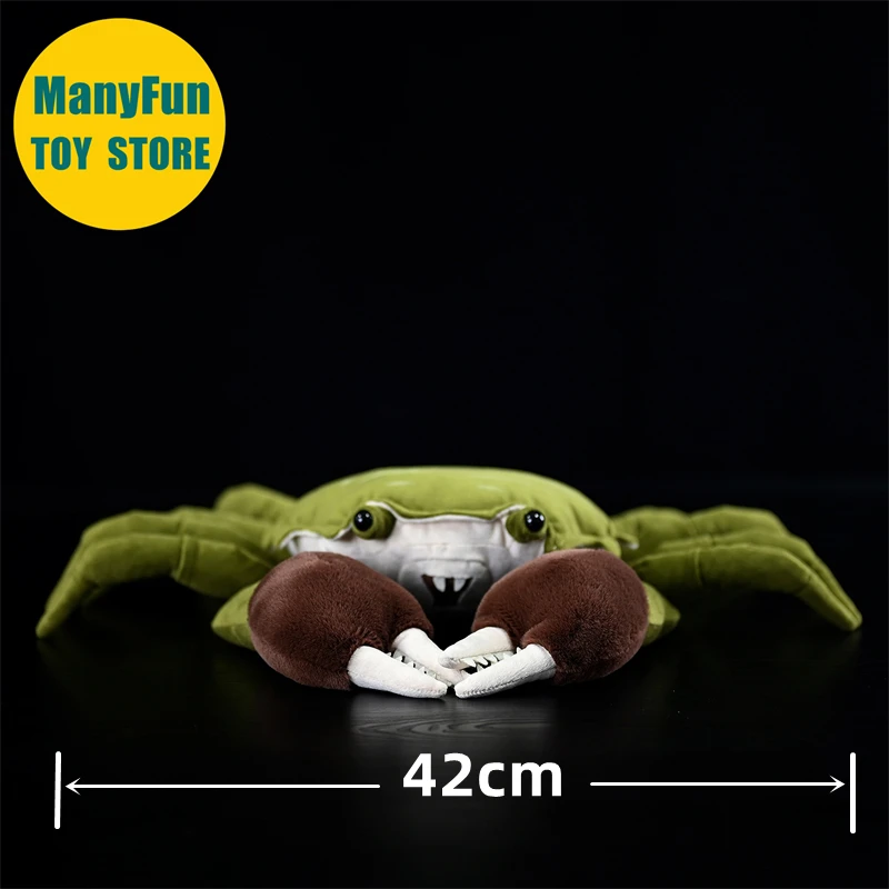Realistic Hairy Crab High Fidelity Plushie Lifelike Chinese Mitten Crab Plush Toy River Crab Stuffed Animal Simulation Doll Toys
Realistic Hairy Crab High Fidelity Plushie Lifelike Chinese Mitten Crab Plush Toy River Crab Stuffed Animal Simulation Doll Toys