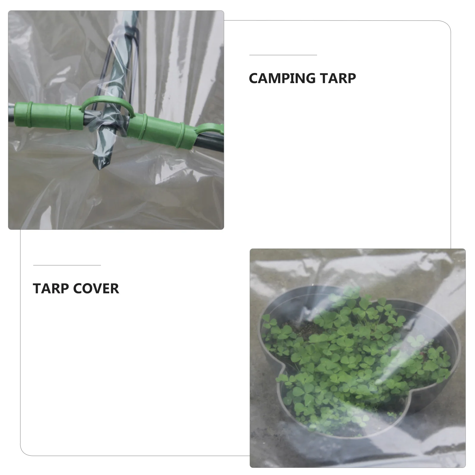 High Light Transmittance PE Film Tarp Cover for Plants Flowers Multipurpose Waterproof Outdoor Garden Shelter Strong Toughness
High Light Transmittance PE Film Tarp Cover for Plants Flowers Multipurpose Waterproof Outdoor Garden Shelter Strong Toughness