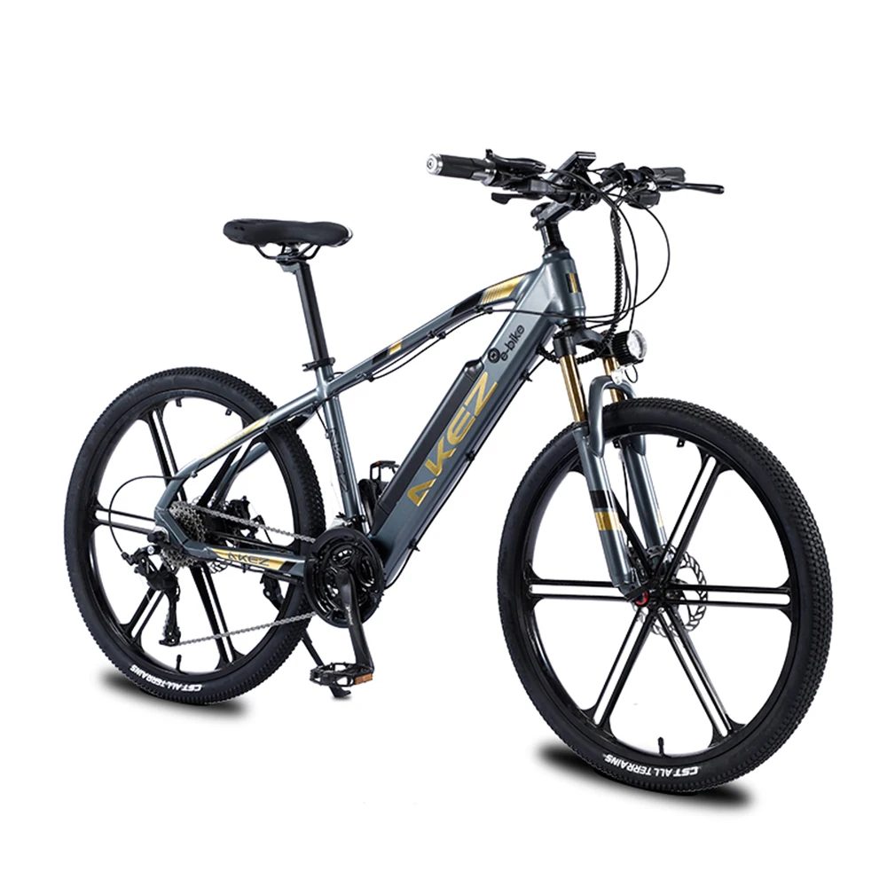 Wholesale Aluminum Alloy Frame E Mountain Bike 350W High Speed Electric Bike Bicycle for Adults
Wholesale Aluminum Alloy Frame E Mountain Bike 350W High Speed Electric Bike Bicycle for Adults
