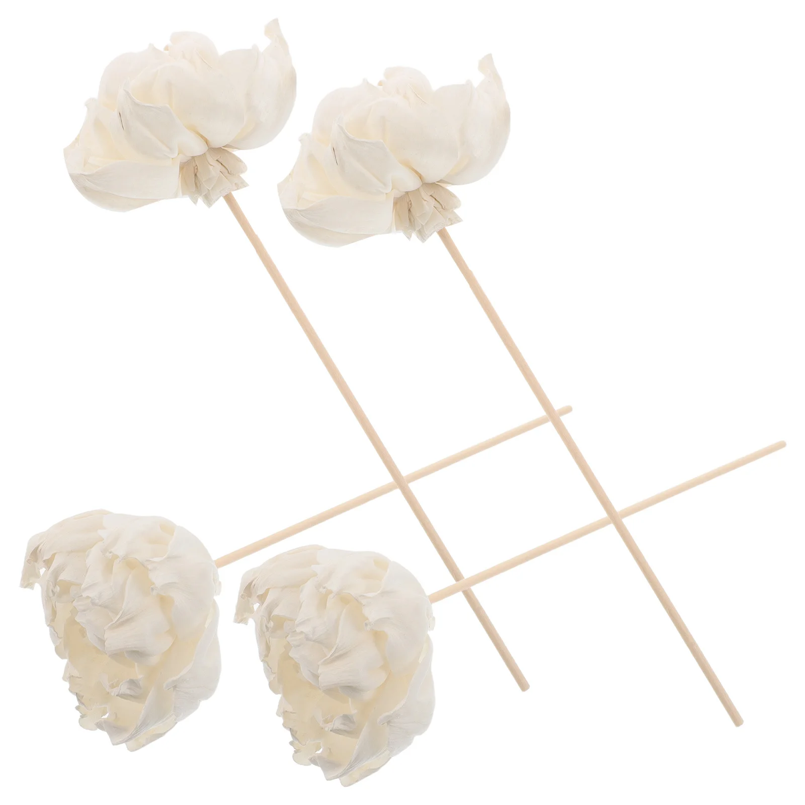 4pcs Reed Flowers 8.65X3.14'' Peony Design Long Lasting Aroma For Home Office Decor Scent Diffuser Sticks Essential Oil Diffuser
4pcs Reed Flowers 8.65X3.14'' Peony Design Long Lasting Aroma For Home Office Decor Scent Diffuser Sticks Essential Oil Diffuser