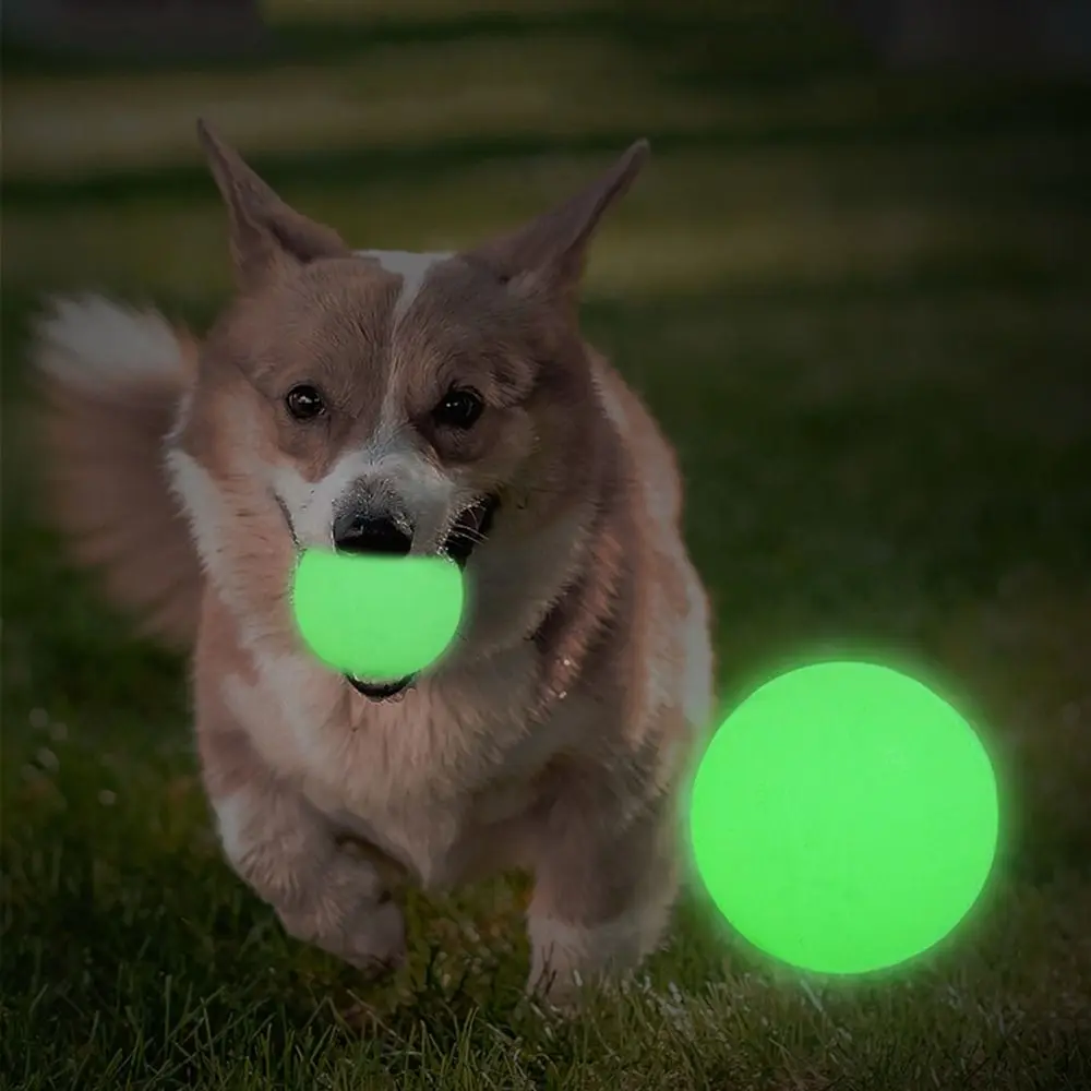 2Pcs Pet Supplies TPR Dog Relief Toys Teething Bite Resistant Dog Toys Balls Luminous Pet Interactive Toys for Home
2Pcs Pet Supplies TPR Dog Relief Toys Teething Bite Resistant Dog Toys Balls Luminous Pet Interactive Toys for Home