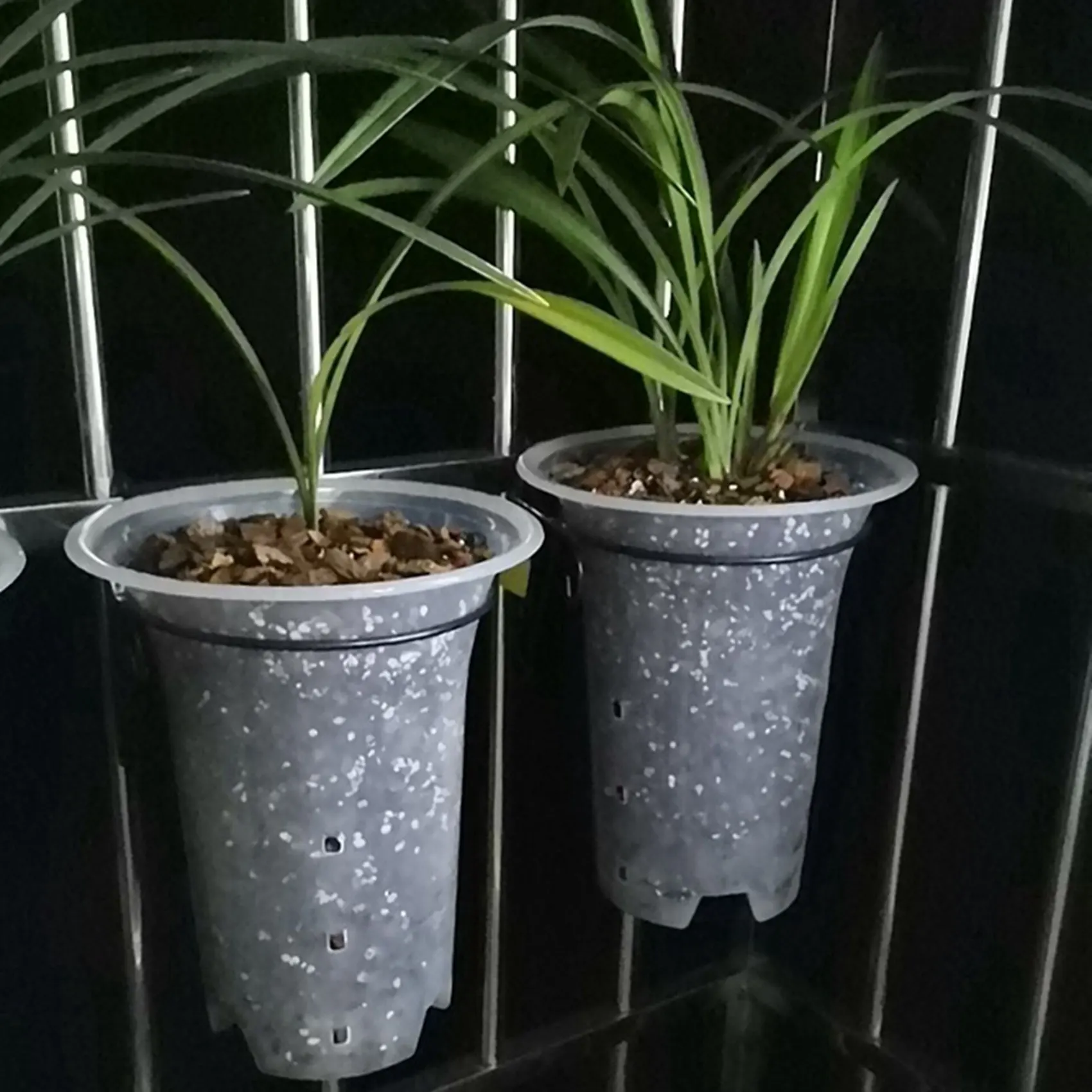 BHBD-5 Inch 16Pcs Clear Flower Pot Planter Plastic Orchid Pot With Holes Tall Plant Pots For Home Flower Shop Decoration
BHBD-5 Inch 16Pcs Clear Flower Pot Planter Plastic Orchid Pot With Holes Tall Plant Pots For Home Flower Shop Decoration