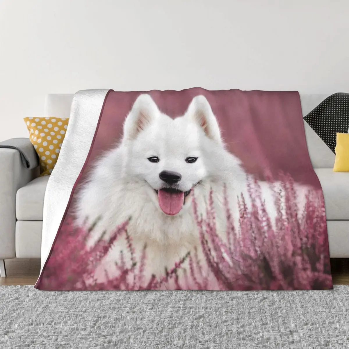 Одеяла для собак Samoyed с бархатным принтом, милые переносные мягкие одеяла для домашних животных, детали для кровати
Одеяла для собак Samoyed с бархатным принтом, милые переносные мягкие одеяла для домашних животных, детали для кровати