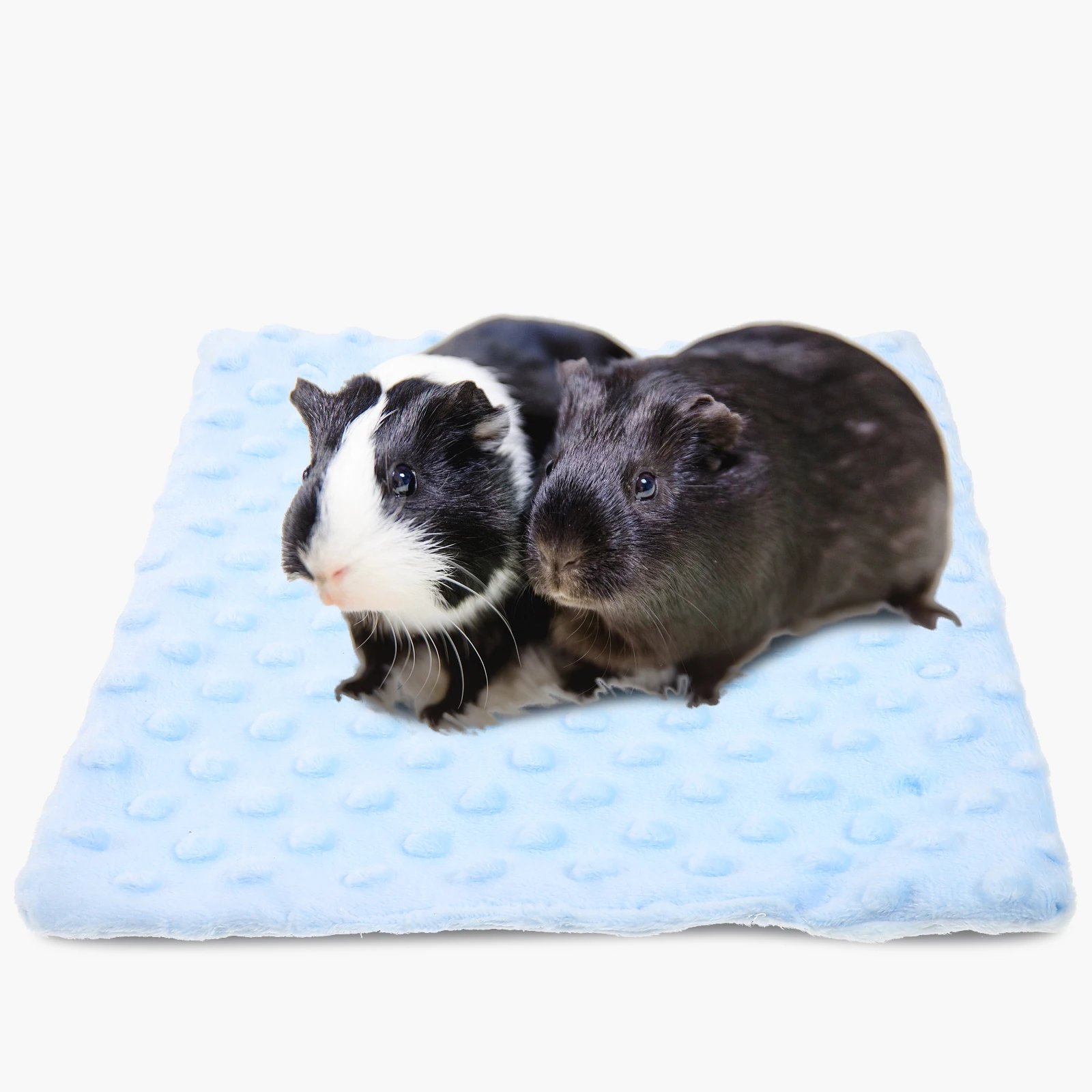 Guinea Pig Blanket Small Animals Supplies Soft Warm Portable Hamster Cage Mat Pet Towel Blue Color Lightweight Easy Use
Guinea Pig Blanket Small Animals Supplies Soft Warm Portable Hamster Cage Mat Pet Towel Blue Color Lightweight Easy Use