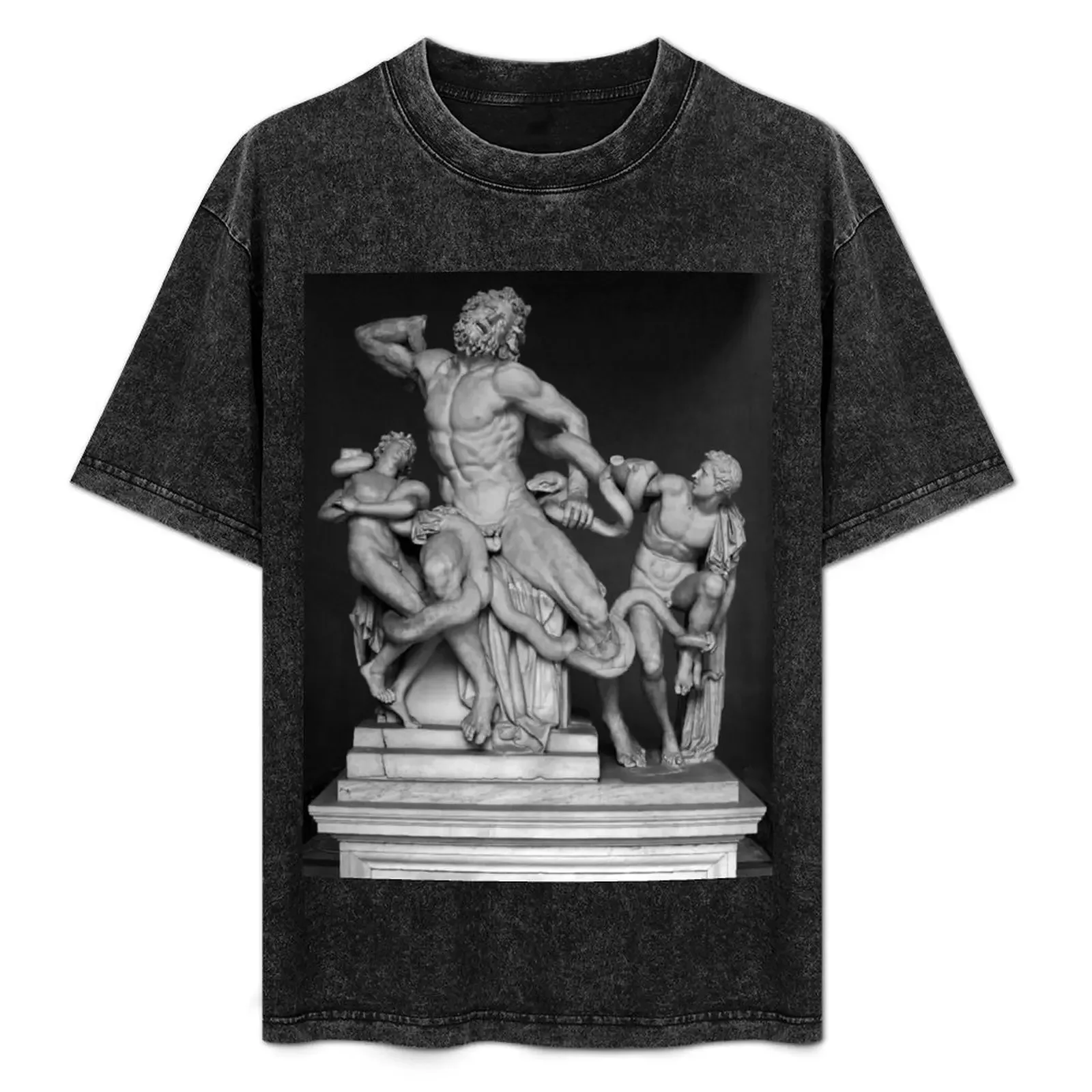 Laocoon Ancient Greek Statue T-Shirt summer clothes Man t-shirt animal prinfor boys gifts for boyfriend anime shirts men
Laocoon Ancient Greek Statue T-Shirt summer clothes Man t-shirt animal prinfor boys gifts for boyfriend anime shirts men