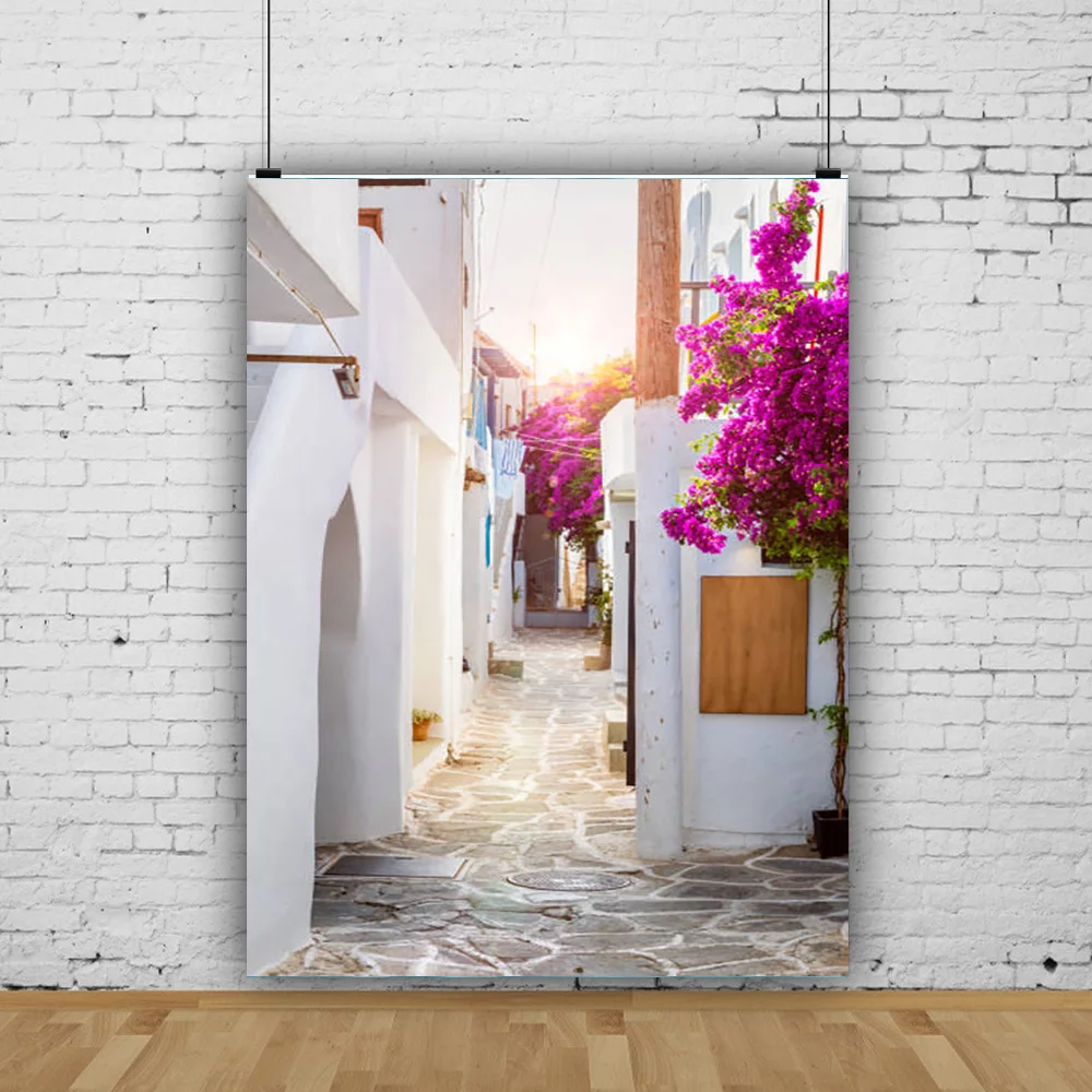 SHENGYONGBAO Santorini Greek Aegean Sea Holiday Party Decoration Bay Town Architecture Flowers Photography Background XC-12
SHENGYONGBAO Santorini Greek Aegean Sea Holiday Party Decoration Bay Town Architecture Flowers Photography Background XC-12