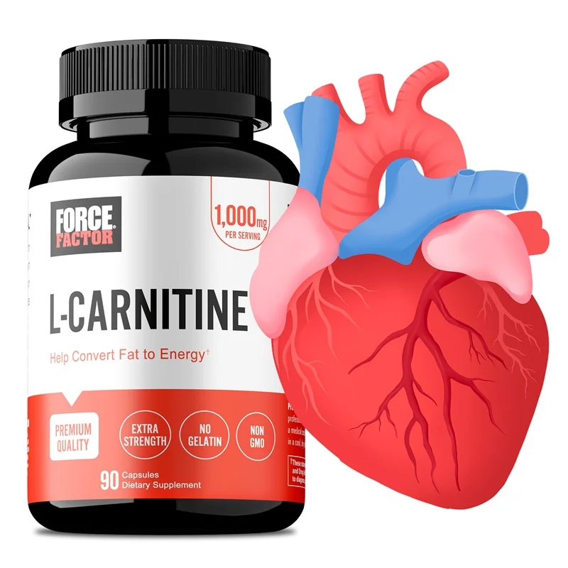 L-Carnitine Capsules, Cellular Energy Support, Metabolic & Sports Nutrition Supplement, Support Mental Focus & Physical Vitality
L-Carnitine Capsules, Cellular Energy Support, Metabolic & Sports Nutrition Supplement, Support Mental Focus & Physical Vitality
