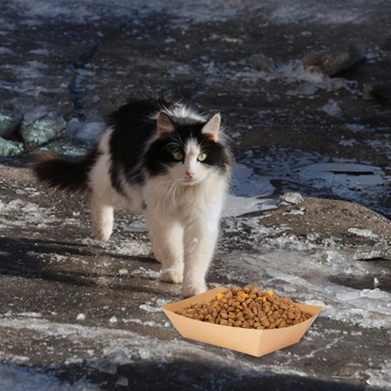 50 шт., посуда для кормления домашних животных, одноразовая экологически безопасная конструкция, держатель для еды, тарелка для
50 шт., посуда для кормления домашних животных, одноразовая экологически безопасная конструкция, держатель для еды, тарелка для