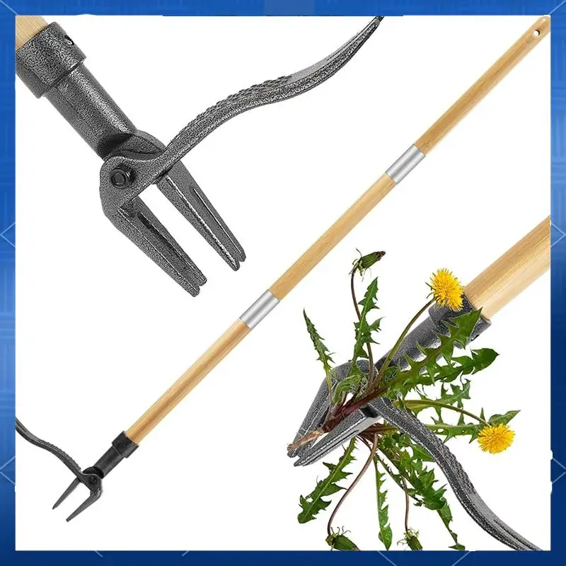 46 Inch Weed Puller Tool With Long Handle Bamboo Grip & 4 Claw Steel Head 3-Section Design For Stand Up Gardening Tool
46 Inch Weed Puller Tool With Long Handle Bamboo Grip & 4 Claw Steel Head 3-Section Design For Stand Up Gardening Tool