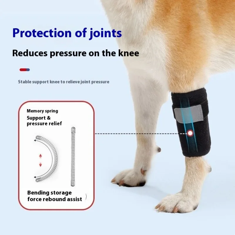 Dog Knee Brace Adjustable Support for Senior Dogs Front Leg Injury Recovery Velcro Wrap Pet Joint Stabilizer
Dog Knee Brace Adjustable Support for Senior Dogs Front Leg Injury Recovery Velcro Wrap Pet Joint Stabilizer