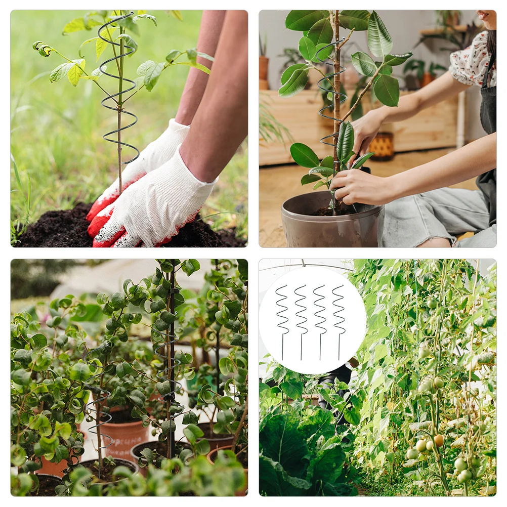 4Pcs Plant Support Stakes Iron Single Stem Garden Climbing Trellis Easy Install for Stem Support and Strong Wind Protection
4Pcs Plant Support Stakes Iron Single Stem Garden Climbing Trellis Easy Install for Stem Support and Strong Wind Protection