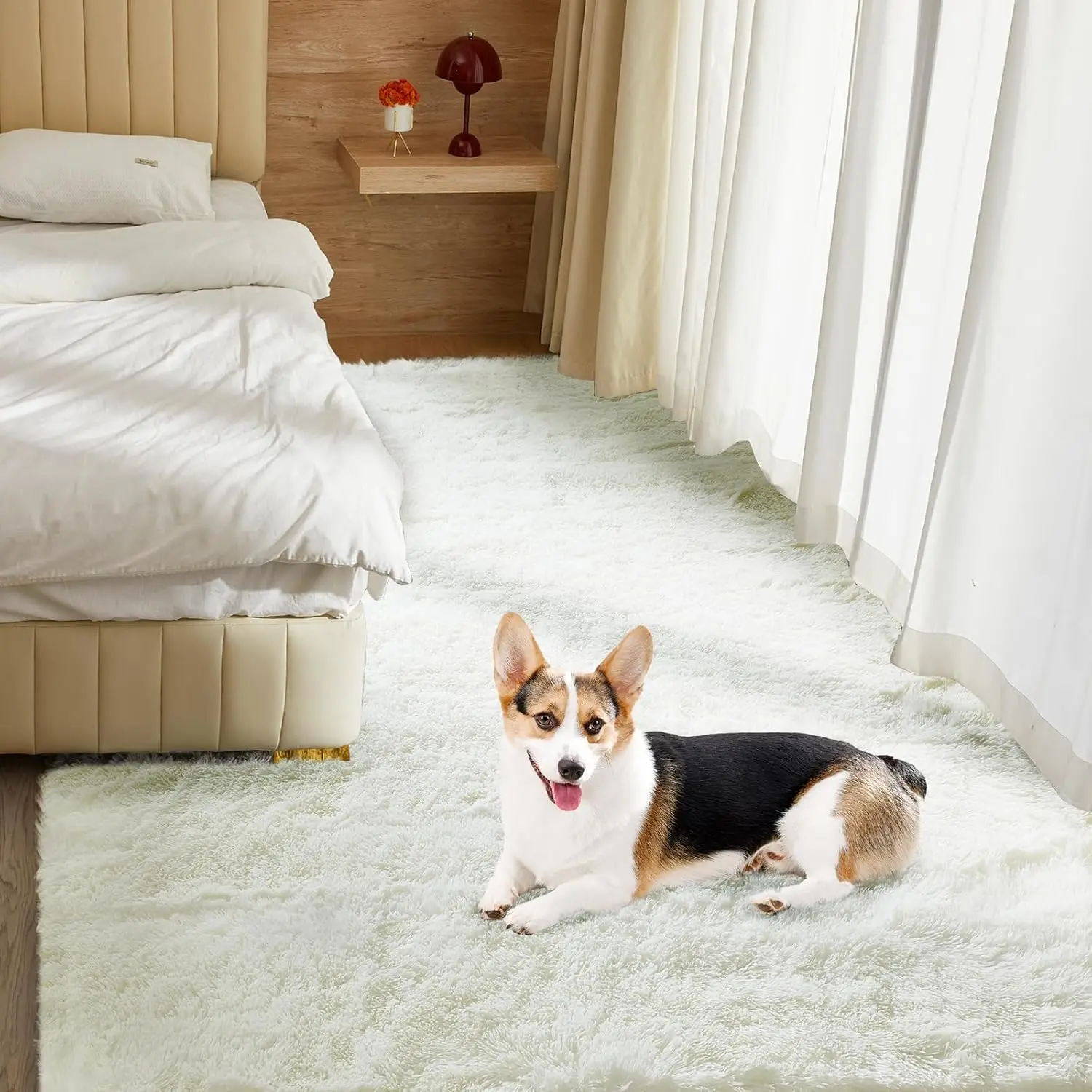 Ultra Soft Rug For Living Room, 6X9 Fluffy Shag Area Rug For Bedroom, Modern Shaggy Carpets Fuzzy Rug For Teens Dorm Nursery
Ultra Soft Rug For Living Room, 6X9 Fluffy Shag Area Rug For Bedroom, Modern Shaggy Carpets Fuzzy Rug For Teens Dorm Nursery