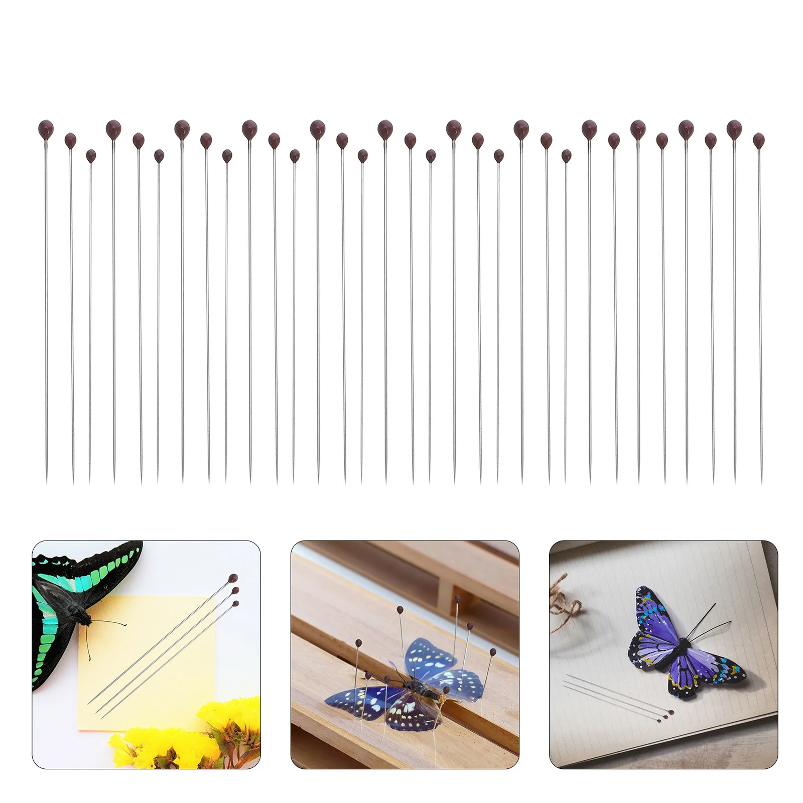 300Pcs Stainless Steel Insect Specimen Pin Smooth Head Secure Grip for Butterfly Collection Specimen Preservation and Biology
300Pcs Stainless Steel Insect Specimen Pin Smooth Head Secure Grip for Butterfly Collection Specimen Preservation and Biology