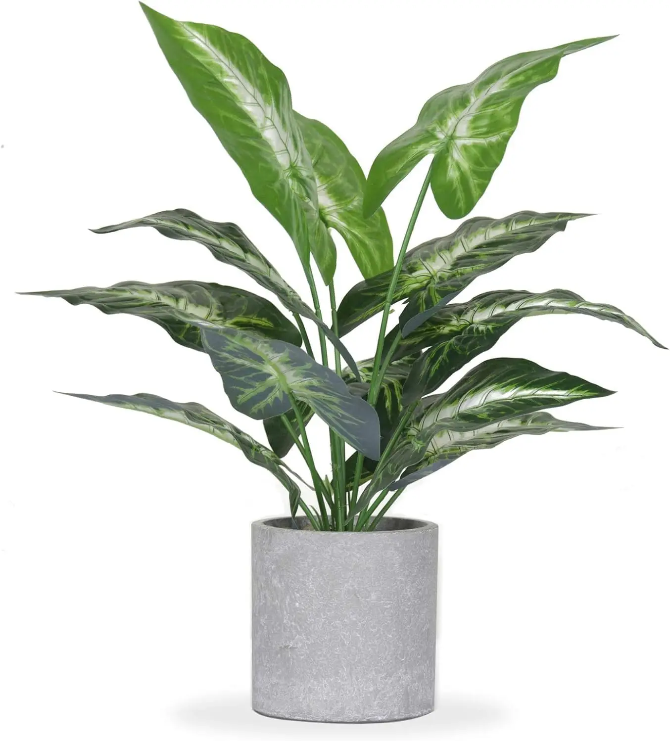 16" Artificial Tropical Plants for Indoor Decor, Office Desk, Shelf, Bathroom Home
16" Artificial Tropical Plants for Indoor Decor, Office Desk, Shelf, Bathroom Home