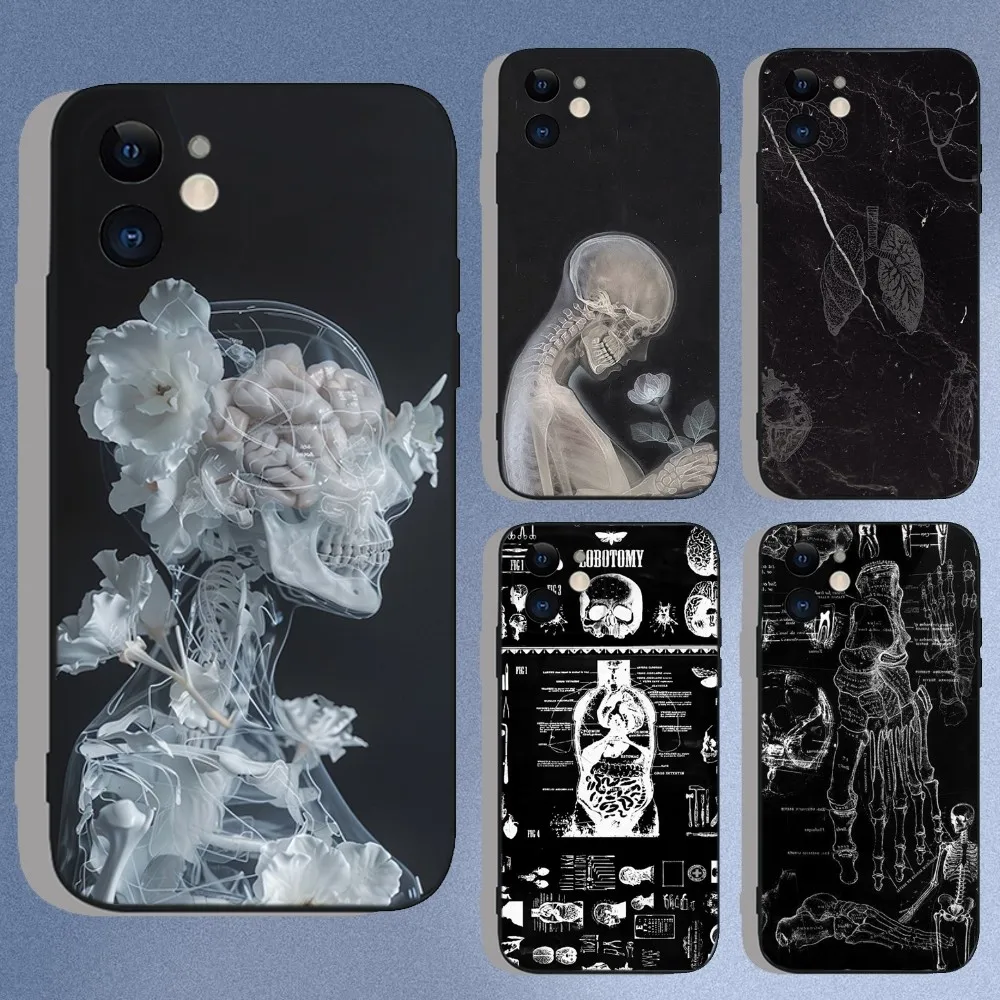 Medical Human Anatomy Phone Case For iPhone 16e,16,15,14,13,12,11,XS,XR,X,8,7,Pro,Max,Plus,Mini Silicone Black Funda Shell
Medical Human Anatomy Phone Case For iPhone 16e,16,15,14,13,12,11,XS,XR,X,8,7,Pro,Max,Plus,Mini Silicone Black Funda Shell